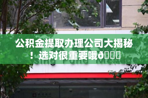 金寨公积金提取办理公司大揭秘！选对很重要哦😎
